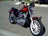 1998 Harley-Davidson 883 Sportster Standard photo
